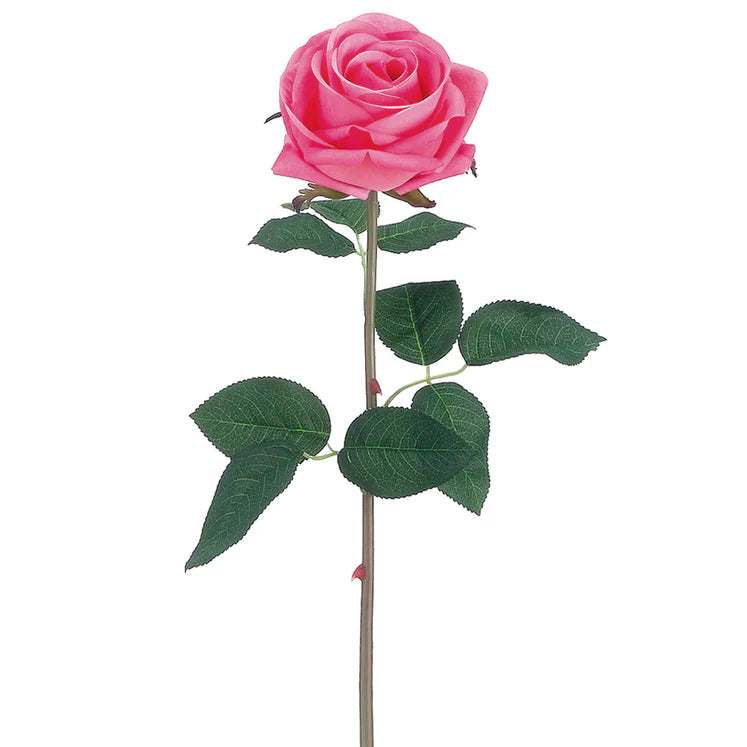 20" Garden Rose Stem