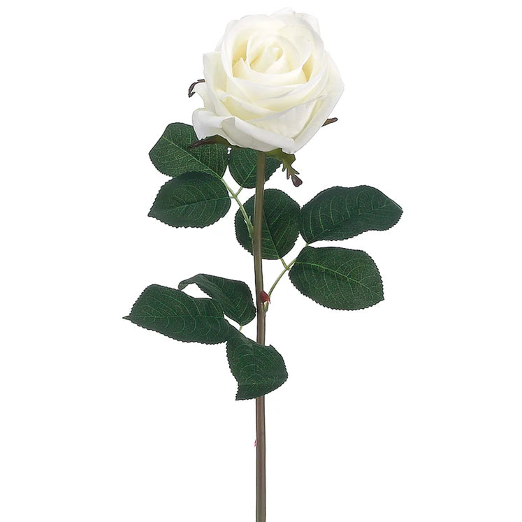 20" Garden Rose Stem