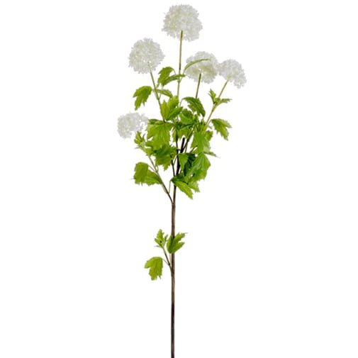 38" Snowball Viburnum Branch