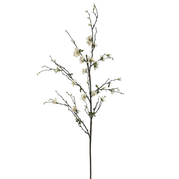 57" Quince Blossom Branch  Cream