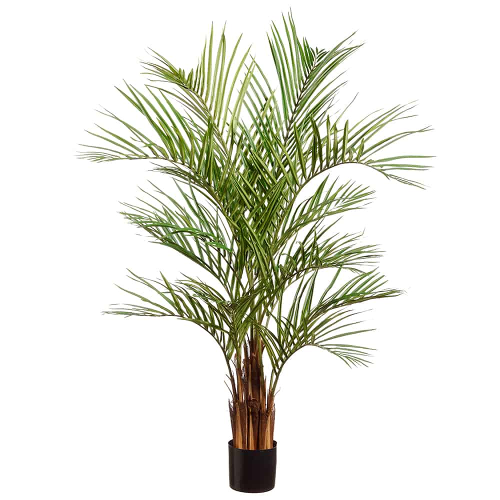 55" Areca Palm Tree