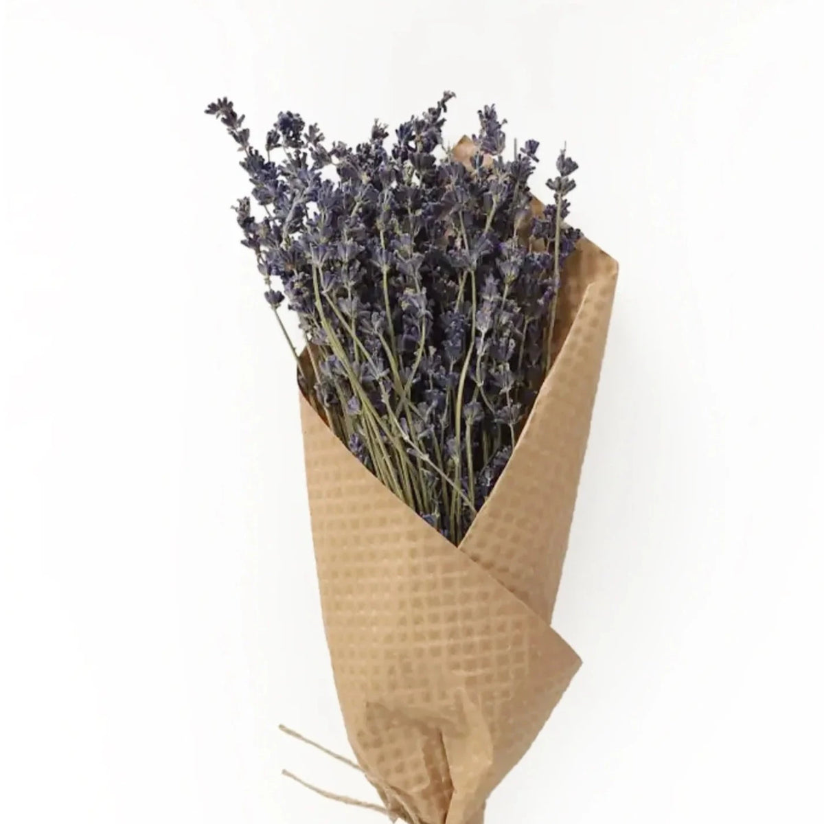 Dried Lavender Buncch