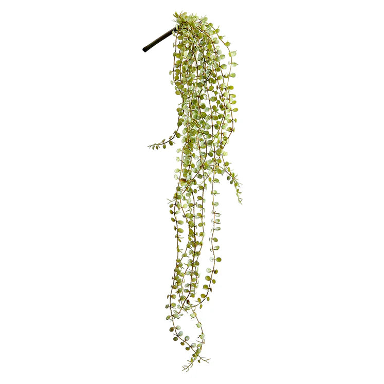 28" Button Leaf Hanging Plant