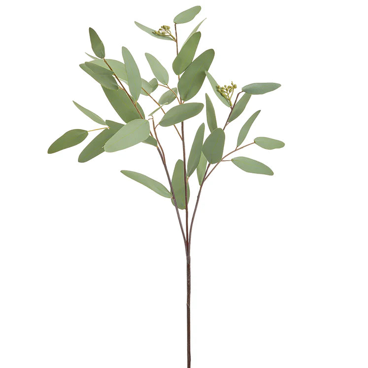 31" Eucalyptus Leaf Branch