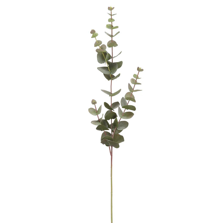 32" Eucalyptus Stem