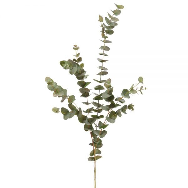 47" Eucalyptus Branch Green Gray