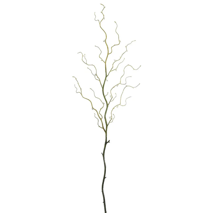54" Curly Willow Branch