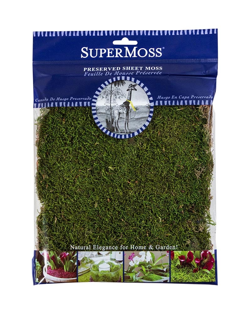 Preserved Sheet Moss