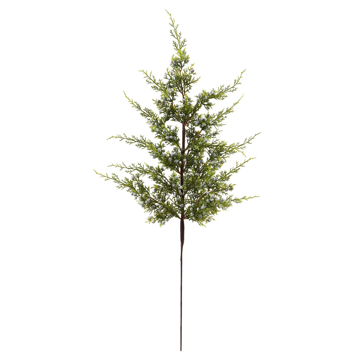 30" Juniper Branch