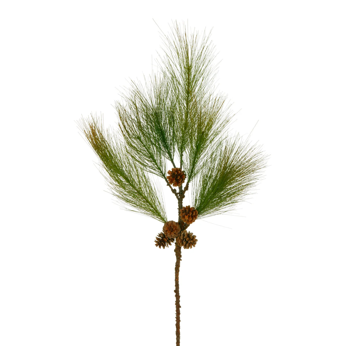 40" Pine Branch