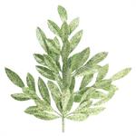 23" Glitter Bay Leaf Branch
