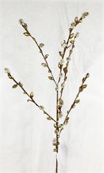 42" Icy Pussy Willow Branch