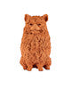 Preston the Pomeranian