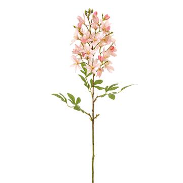 24.5" Cleome Stem  Pink