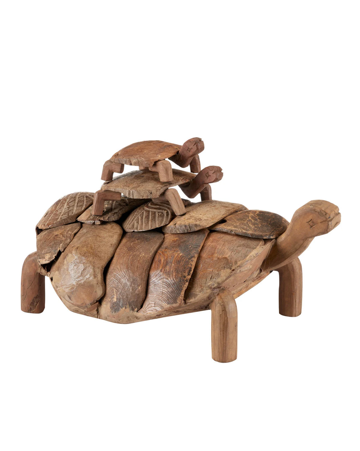 Wood Turtle Set