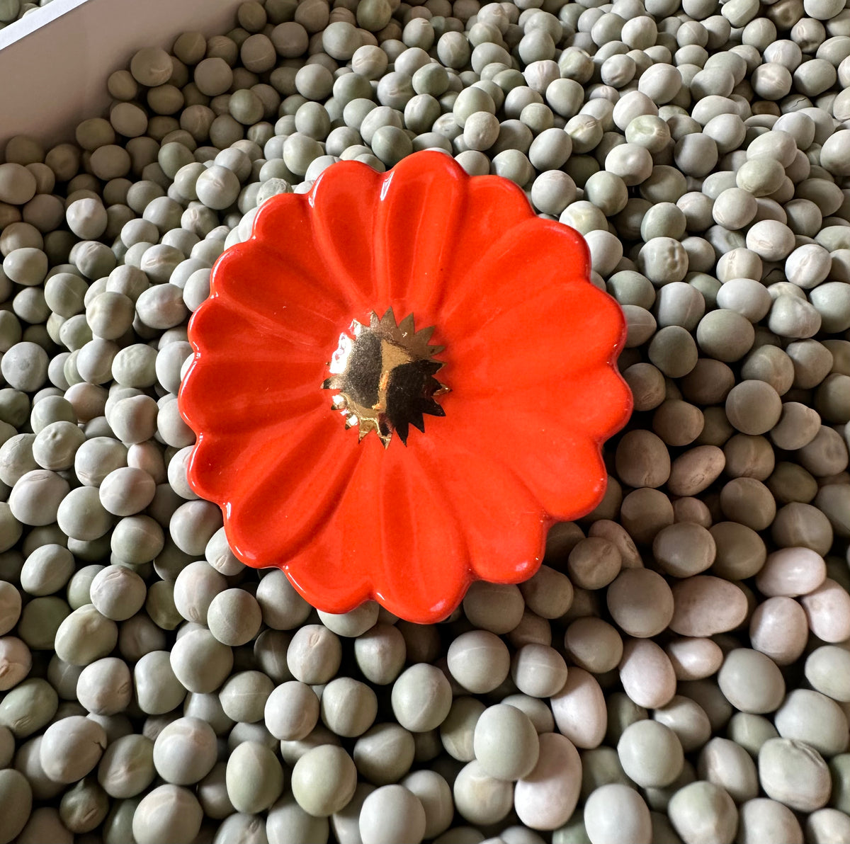 Orange Flower Mini