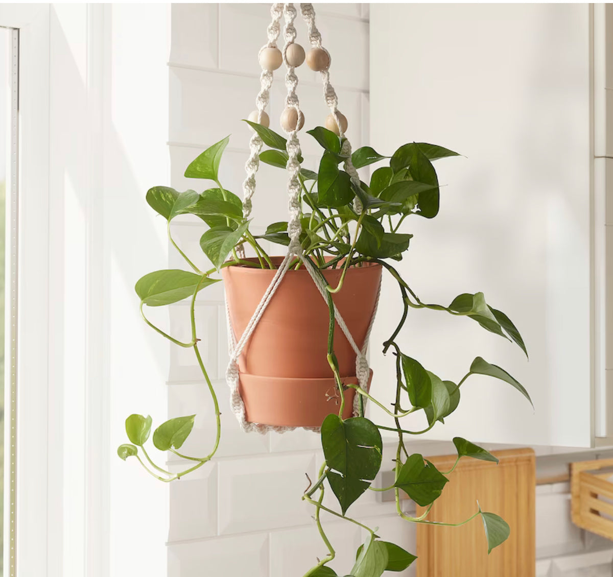 Anvandbar Hanging Plant Holder