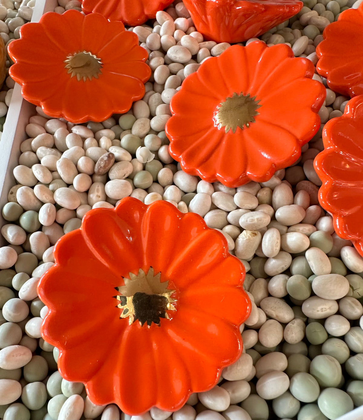 Orange Flower Mini