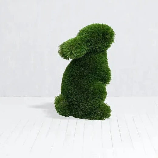 Baby Rabbit Standing