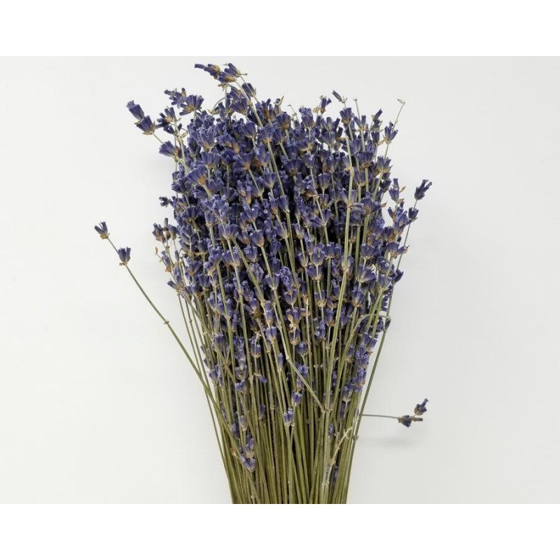 Dried Lavender Buncch