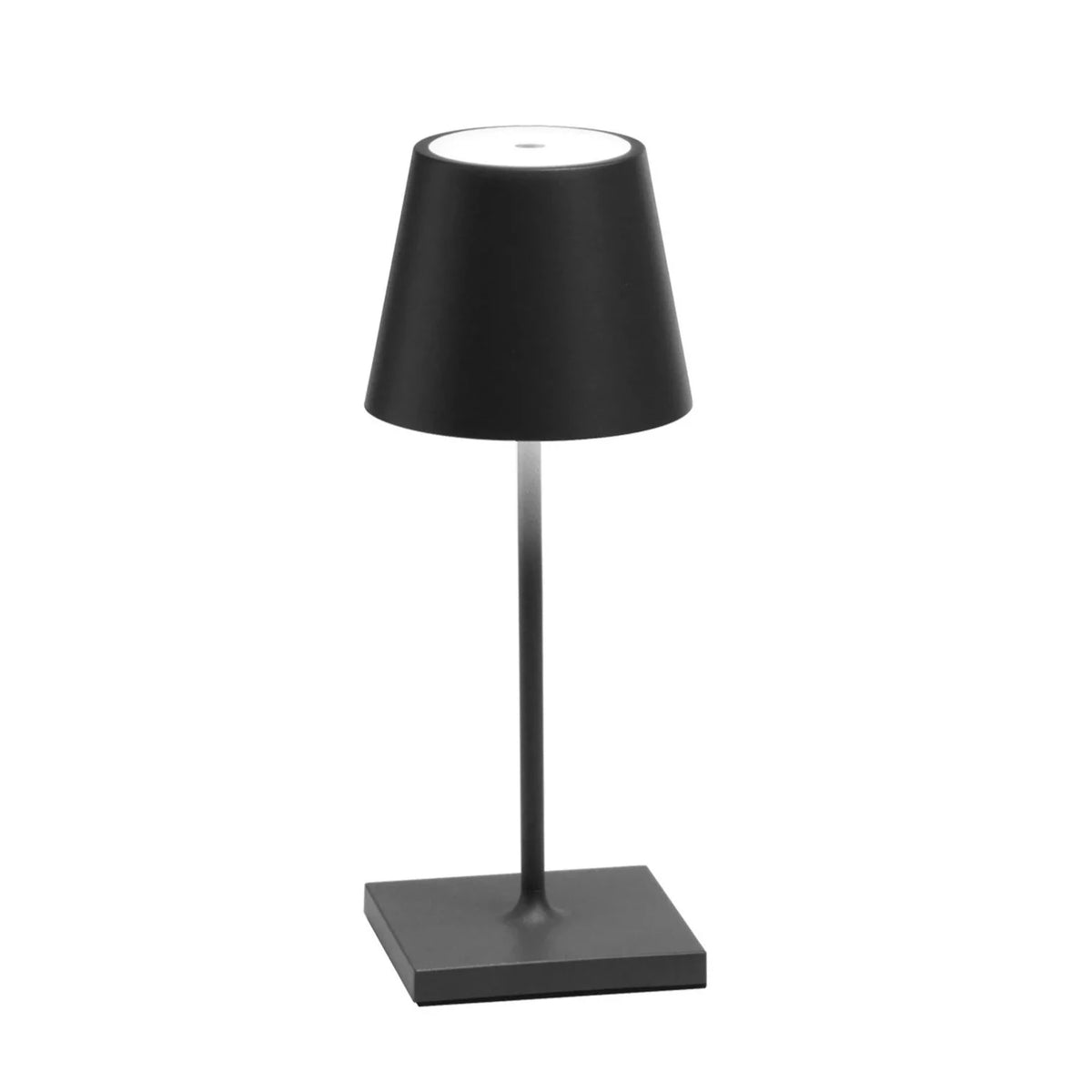Poldina Pro Mini