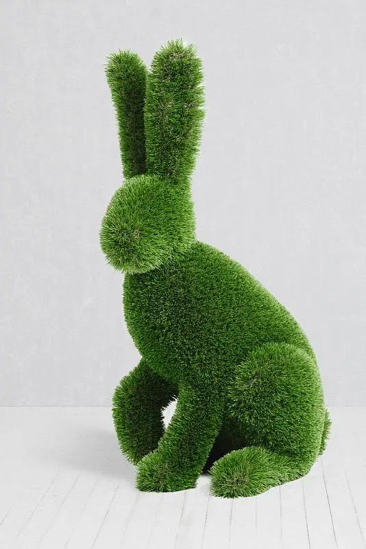 Rabbit Sitting