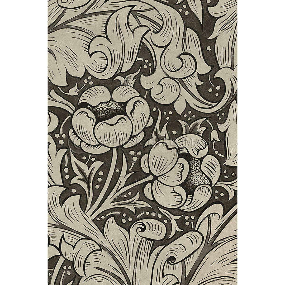 Bachelors Button  Black and Linen 20x30