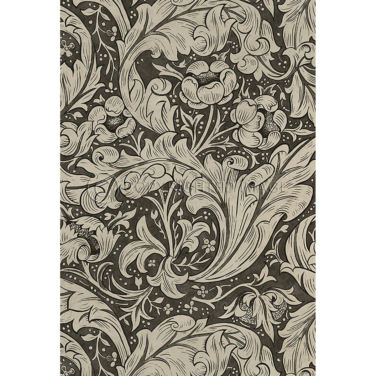 Bachelors Button  Black and Linen 38x56