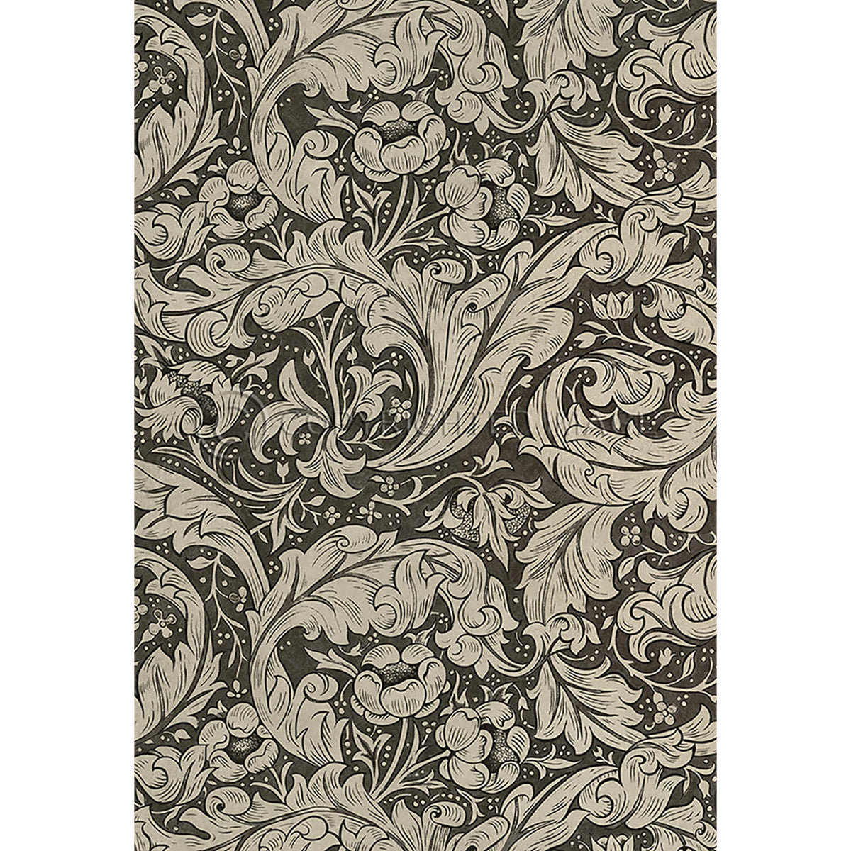 Bachelors Button  Black and Linen 52x76