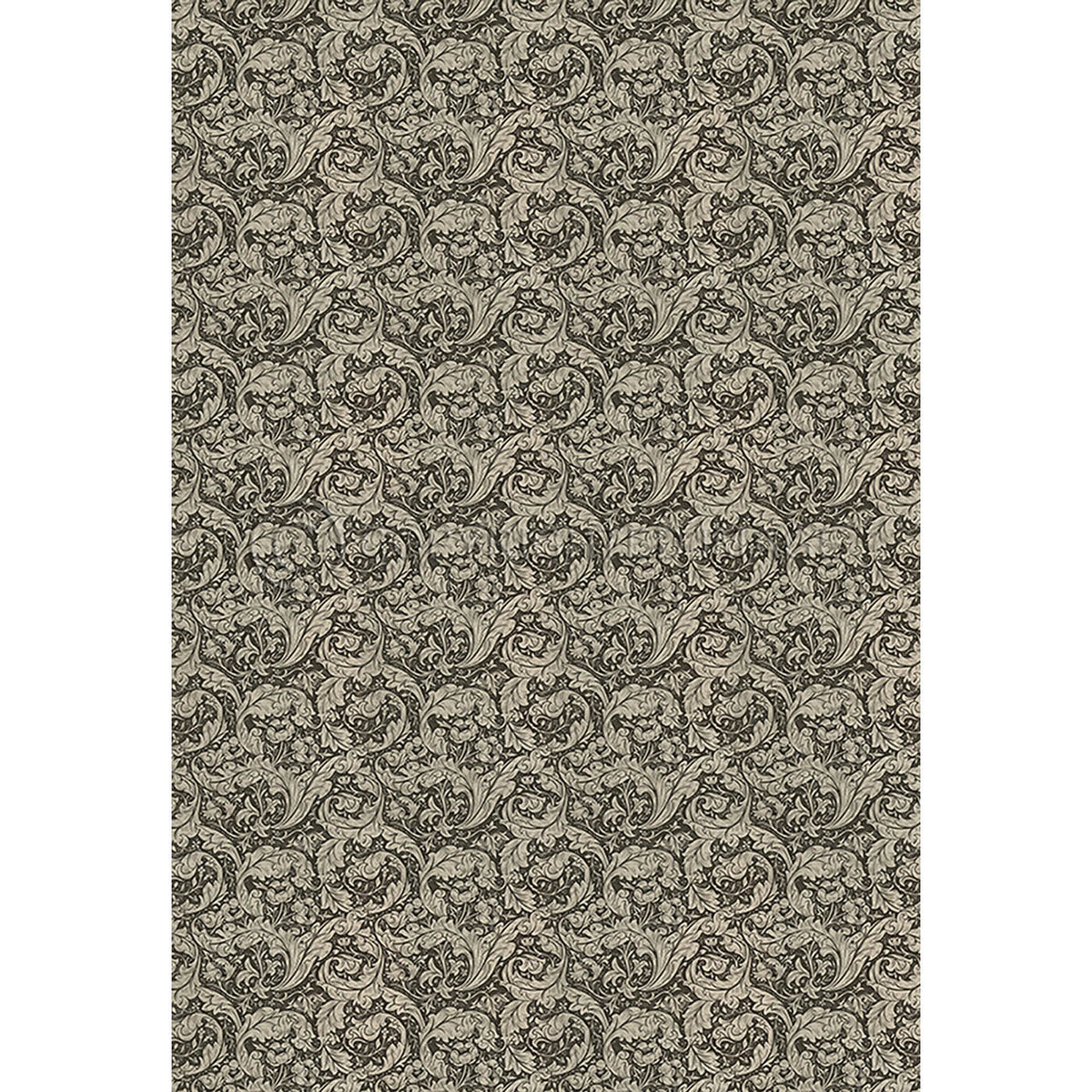 Bachelors Button  Black and Linen 120x175