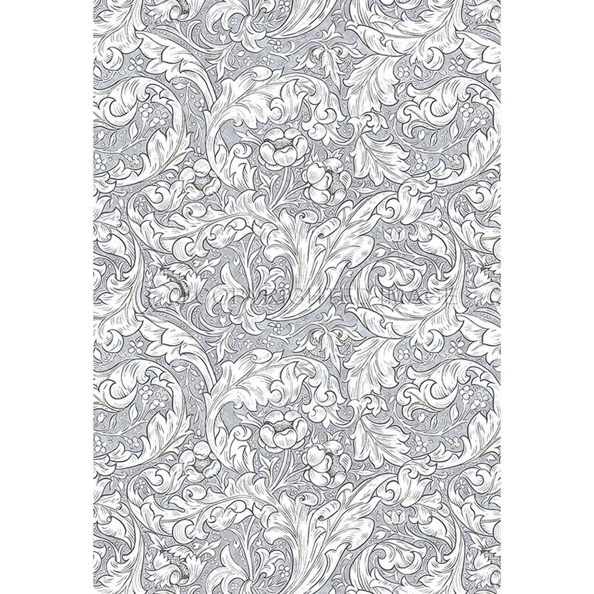Bachelors Button  Chalk 70x102