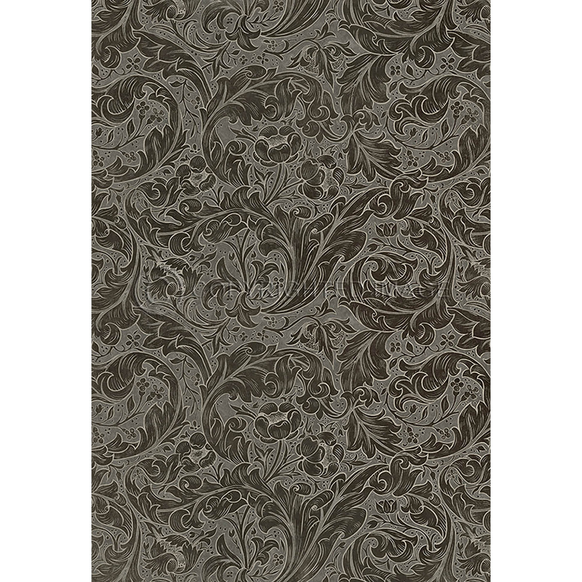 Bachelors Button  Charcoal 70x102