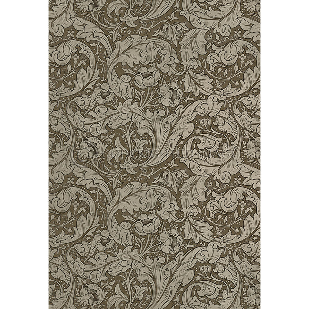 Bachelors Button  Fawn 70x102