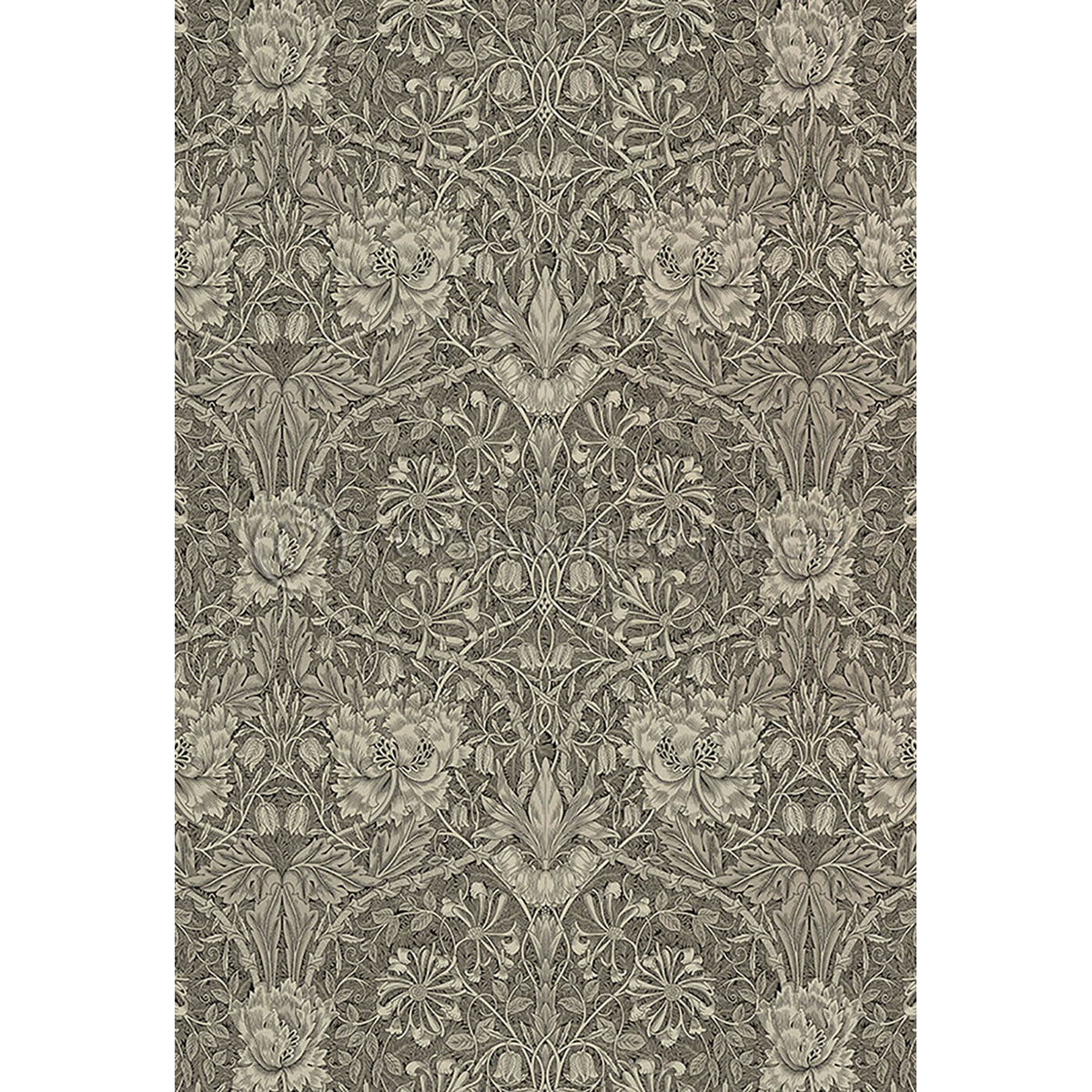 Honeysuckle and Tulip Birch Grey  38x56