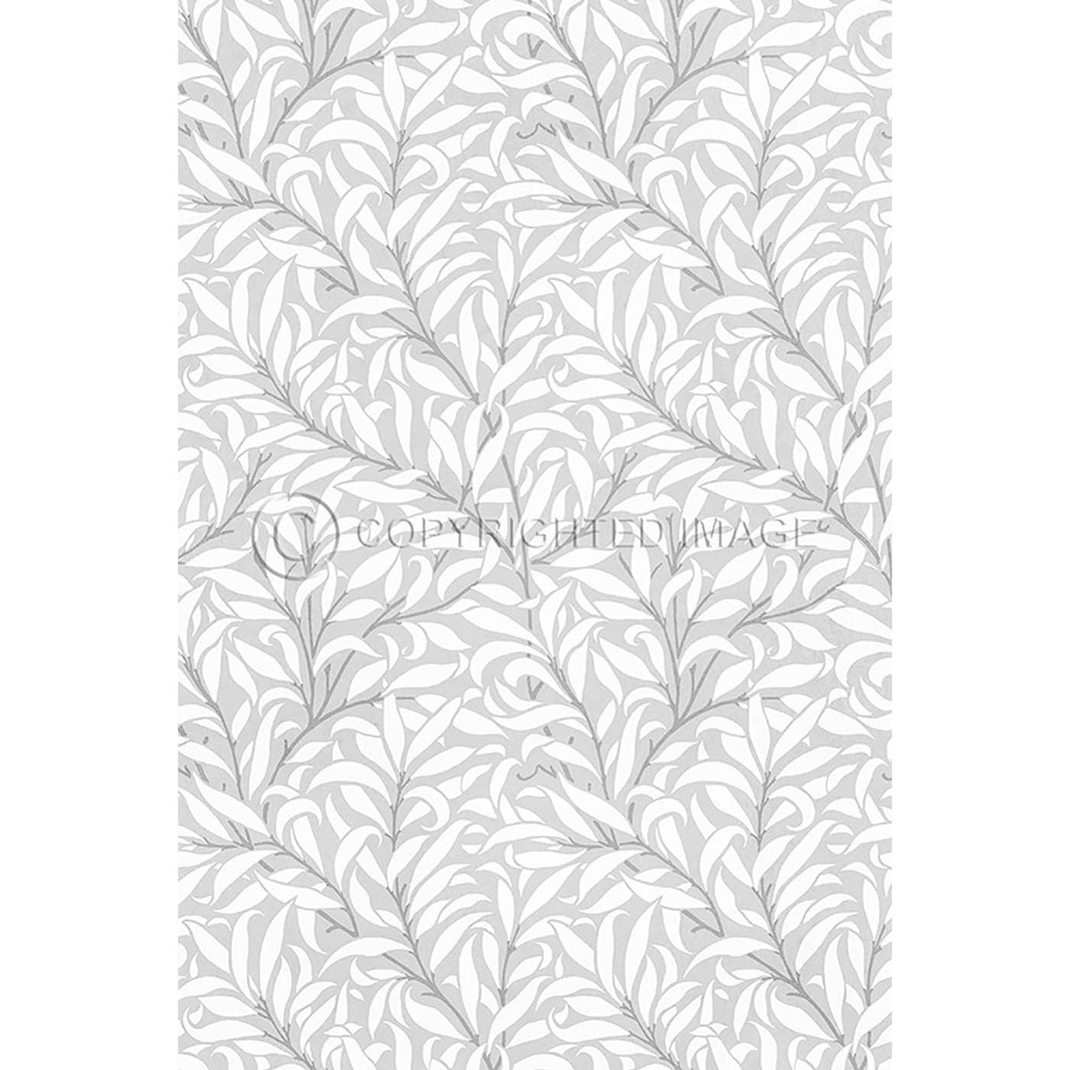 Willow Bough  Chalk 20x30