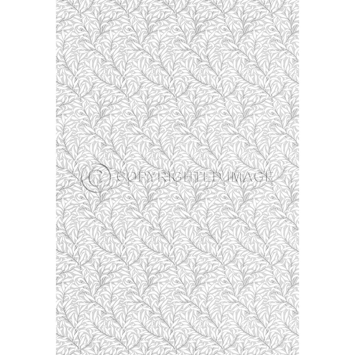 Willow Bough  Chalk 52x76