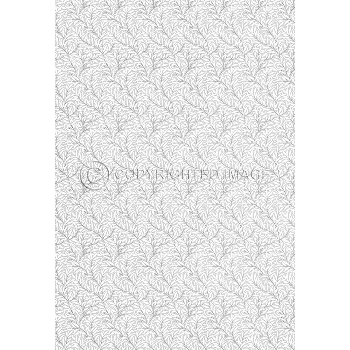 Willow Bough  Chalk 70x102