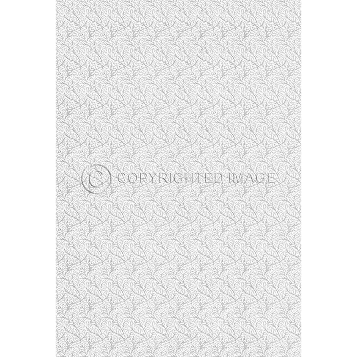 Willow Bough  Chalk 120x175