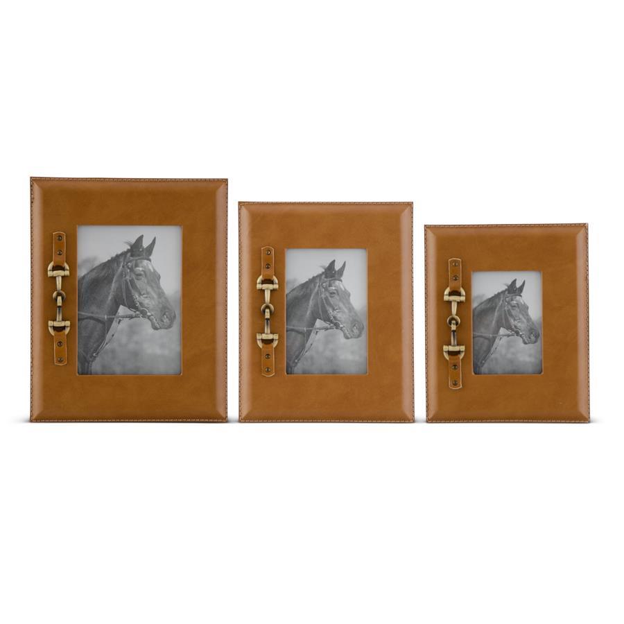 Horse Bit Frames w/Gold Bit