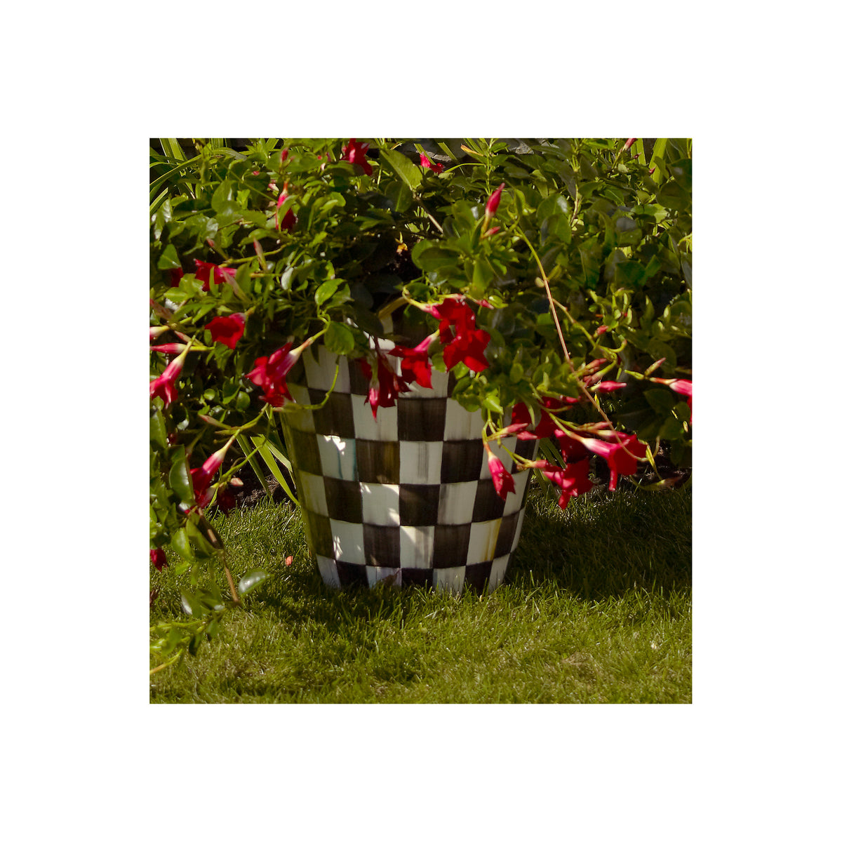 Courtly Check Jumbo Flower Pot
