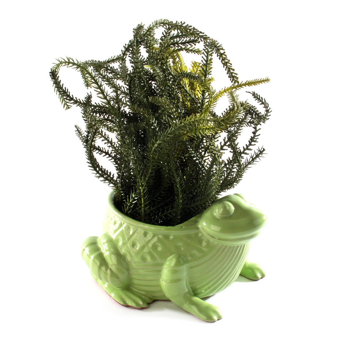 Garden Planter - Frog