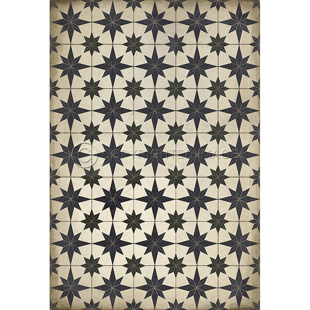 Pattern 20 Astraea        38x56