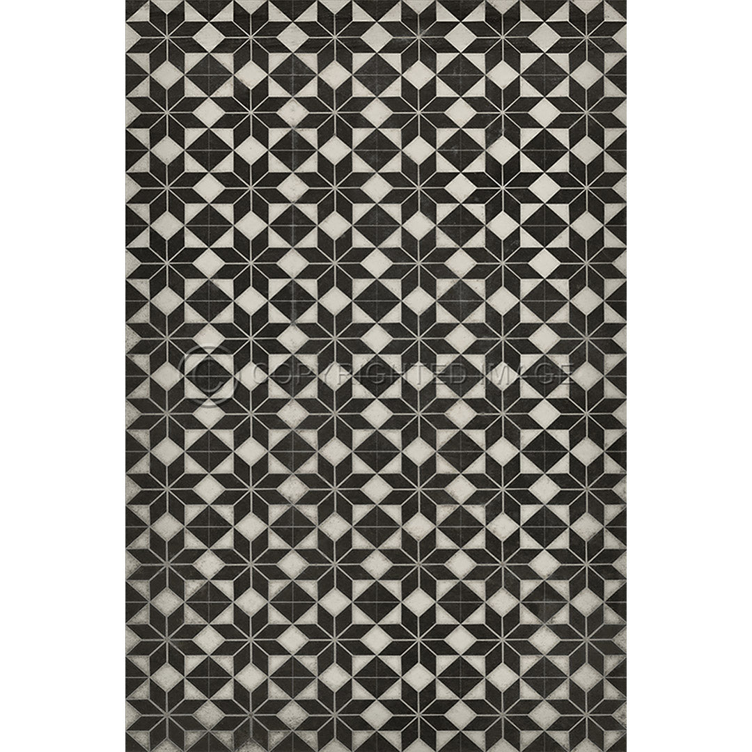 Pattern 20 Stargazer no border      20x30