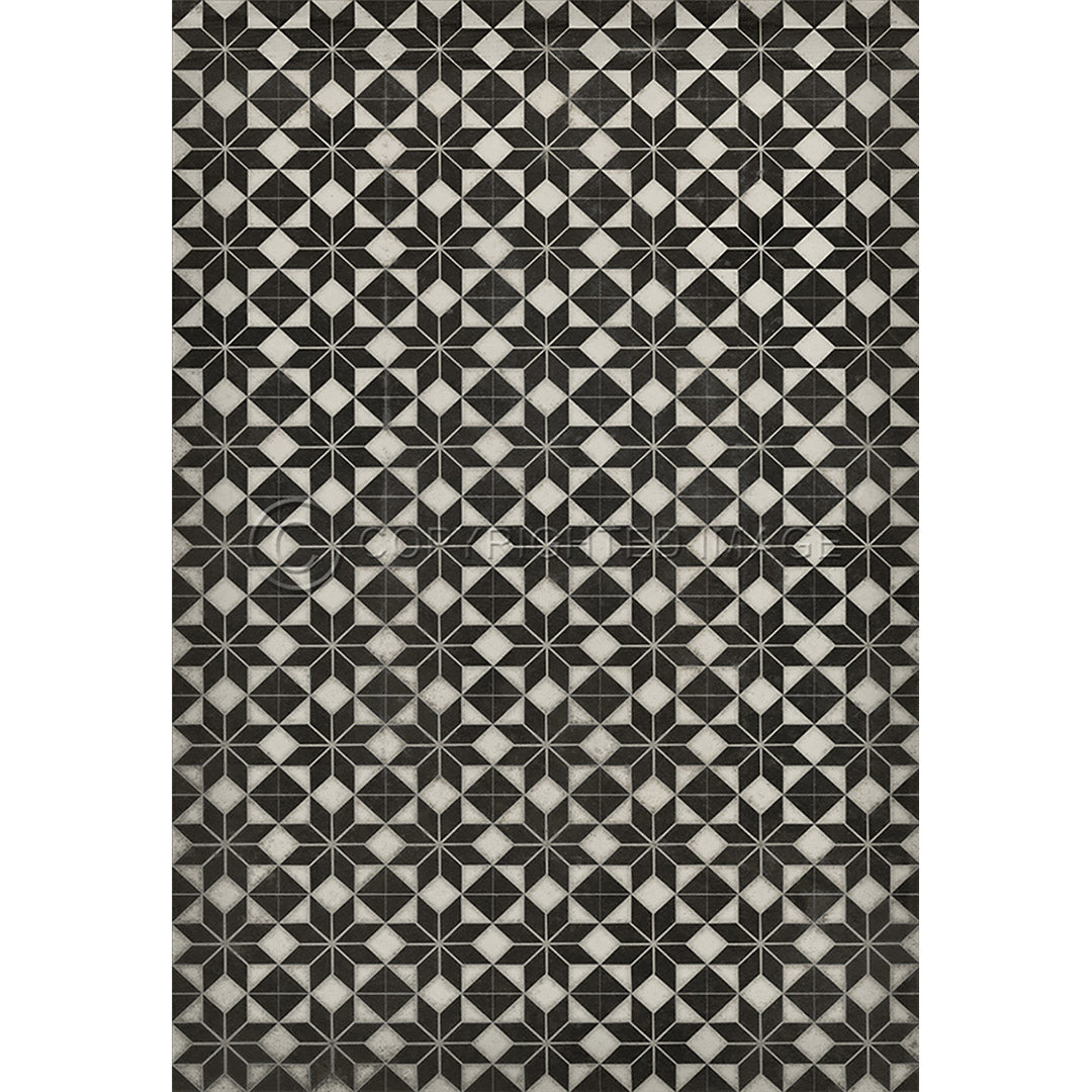 Pattern 20 Stargazer no border      52x76