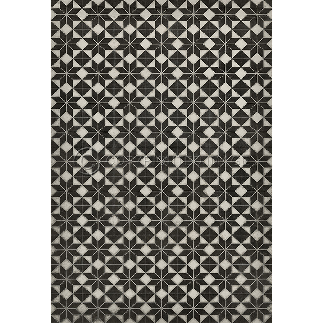 Pattern 20 Stargazer no border      70x102