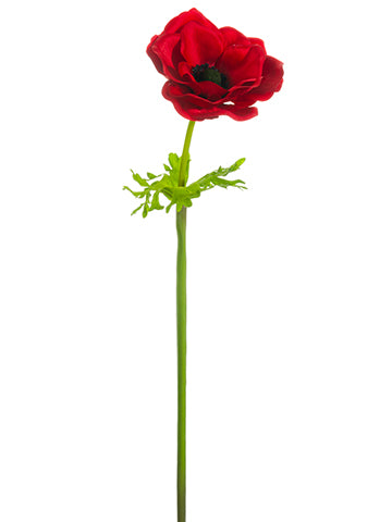 Anemone Stem Red