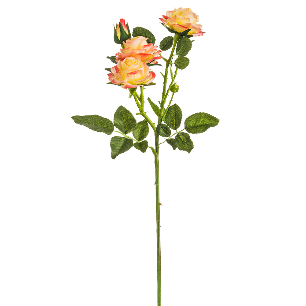 Rose Spray