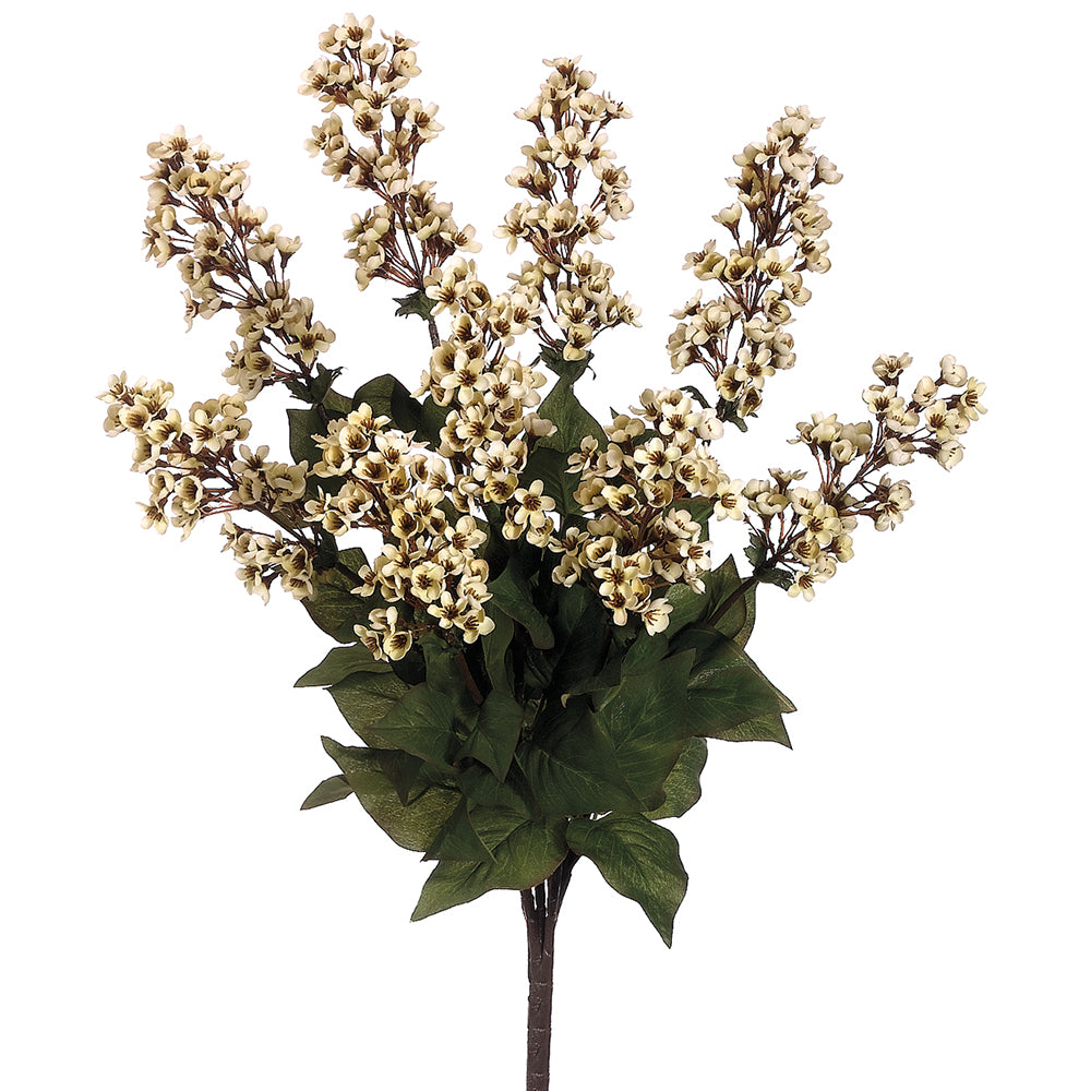 Blossom Stock Bunch