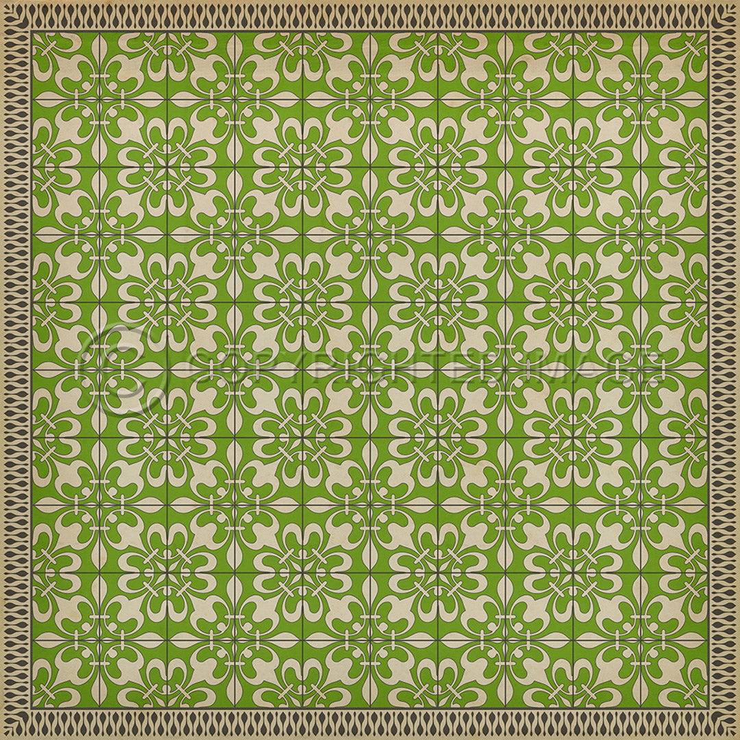 Pattern 55 Field Day       120x120