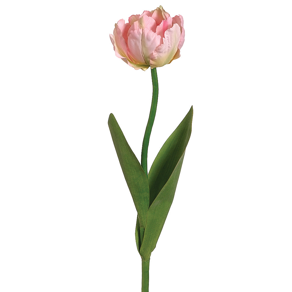 Parrot Tulip Spray